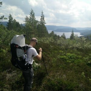 Gjuvvatnet Hiking Trail in Bortelid, Norway