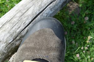 Danner Trail 2650 GTX Shoes: Durable rand