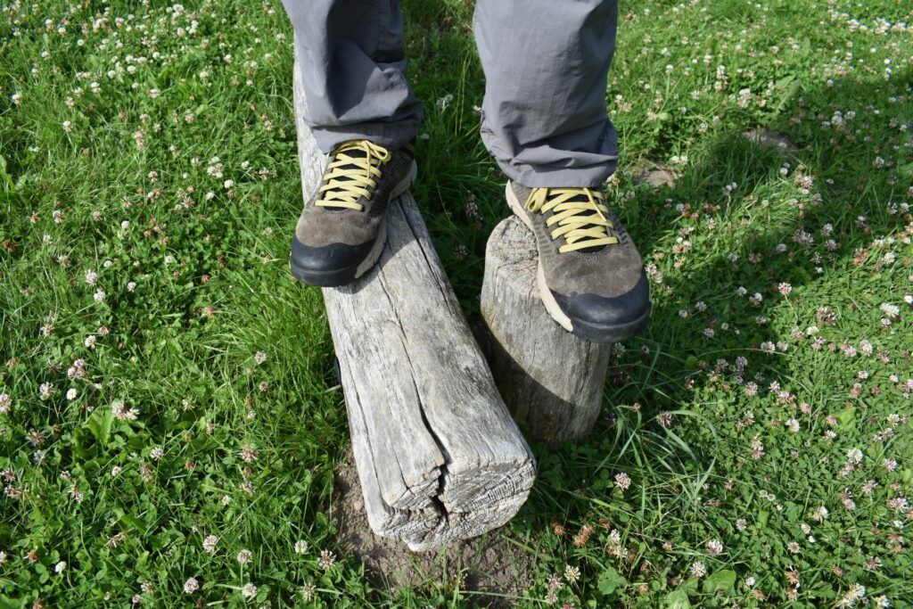 Danner Trail 2650 GTX Shoes: The shoes look stylish