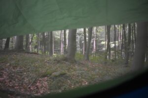 Tentsile UNA Hammock Tent: View from the hammock tent