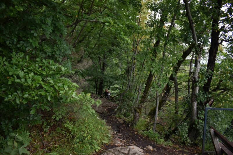 Lake Bled Osojnica hike - path down from Mala Osojnica. The little one went ahead too early