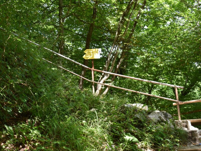 Sum waterfall Hike - forest path back to Blejska Dobrava