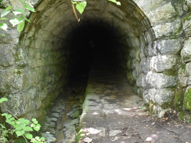 Sum waterfall Hike - old tunnel next to forest path