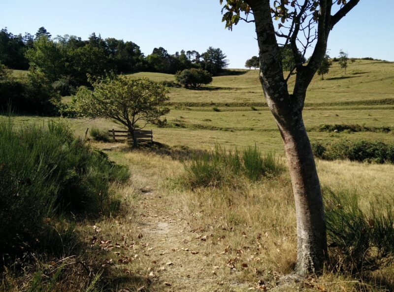 Samsø Nordby Bakker Trail - entering a livestock pasture through gate