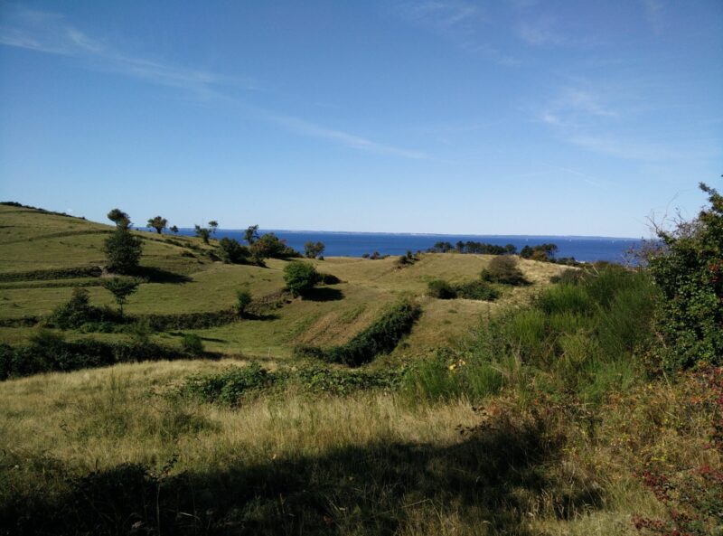 Samsø Nordby Bakker Trail - view on the rolling hills of Nordby