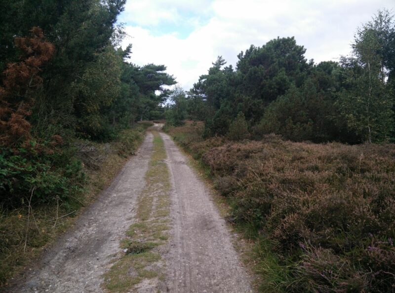 Endelave Mini-Kanino Trail - higher and denser vegetation at Øvre