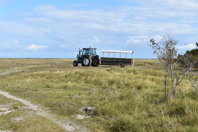 Endelave Mini-Kanino Trail - you will see more tractors than cars on the island