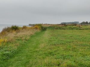 Tunø Hiking Trail - coastal path starts out low