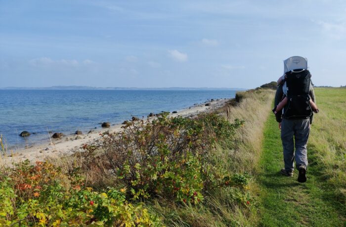 Tunø Hiking Trail - path runs close to the beach at times
