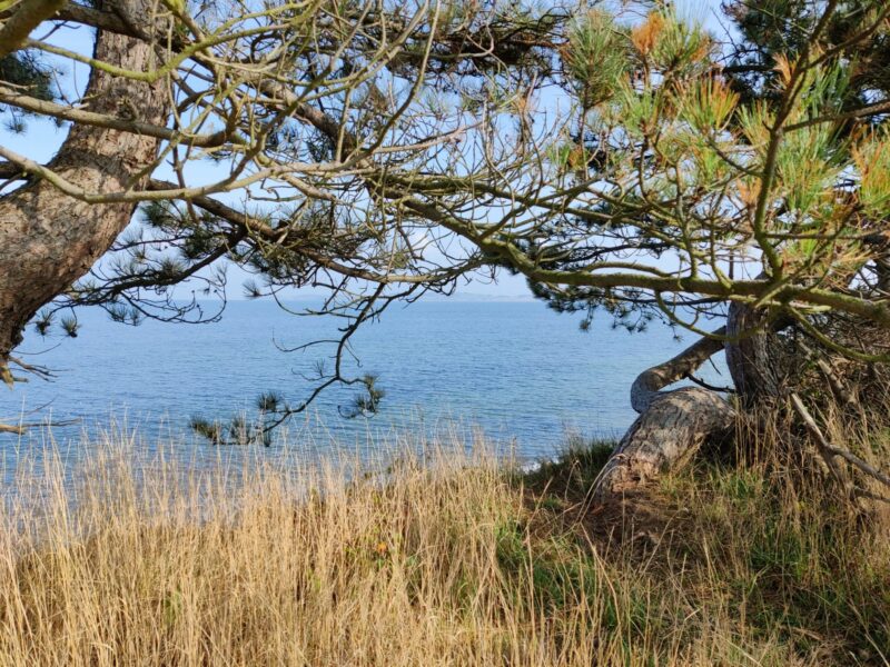 Tunø Hiking Trail - the view was almost Mediterranean at times!