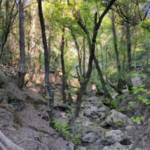 Valley of Butterflies Hiking Trail on Rhodos Island, Greece