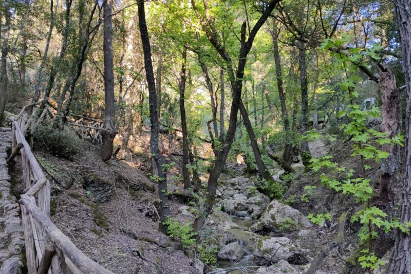 Valley of Butterflies Rhodes Hiking Trail - small stream next to the path