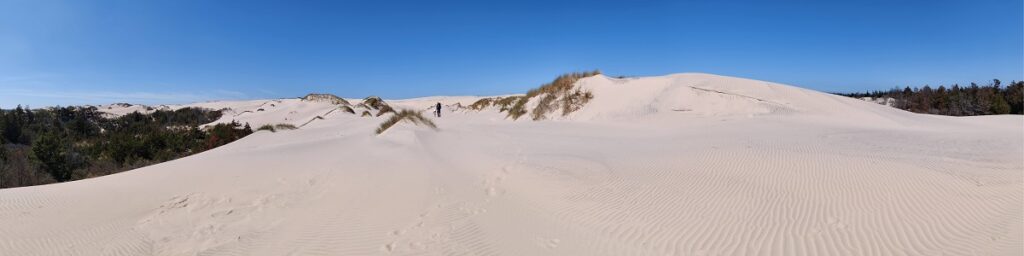 Råbjerg Mile Hiking Trail