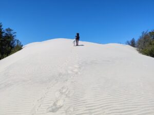 Råbjerg Mile Hiking Trail- ascending the dune