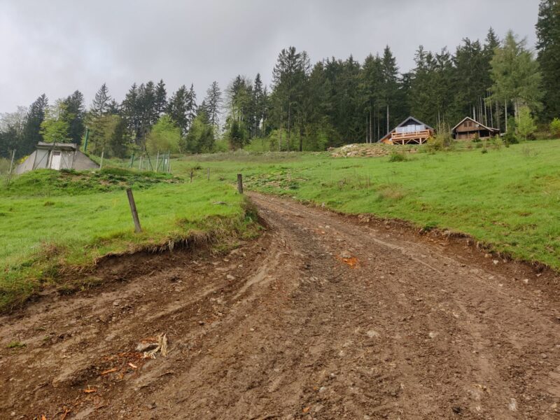 Tolsti Vrh - Kriska Gora Trail: Path after the village