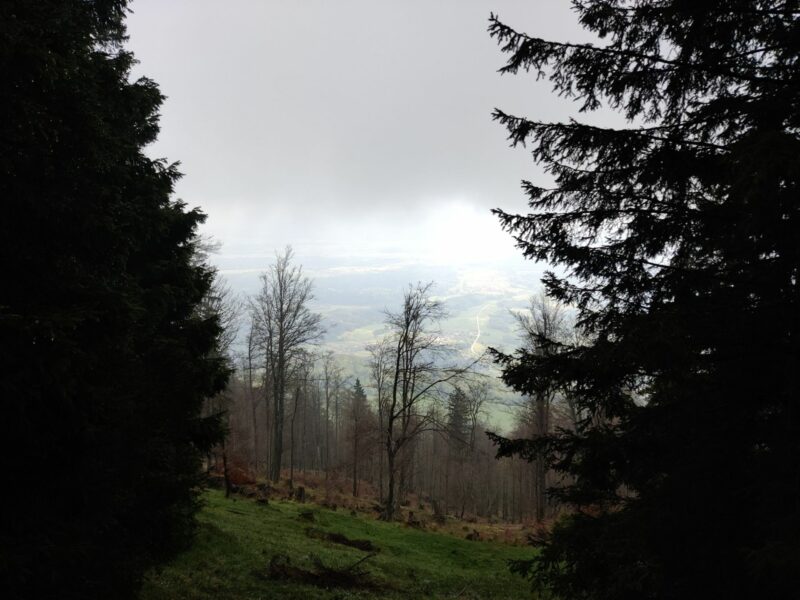 Tolsti Vrh - Kriska Gora Trail: The weather got better during descend