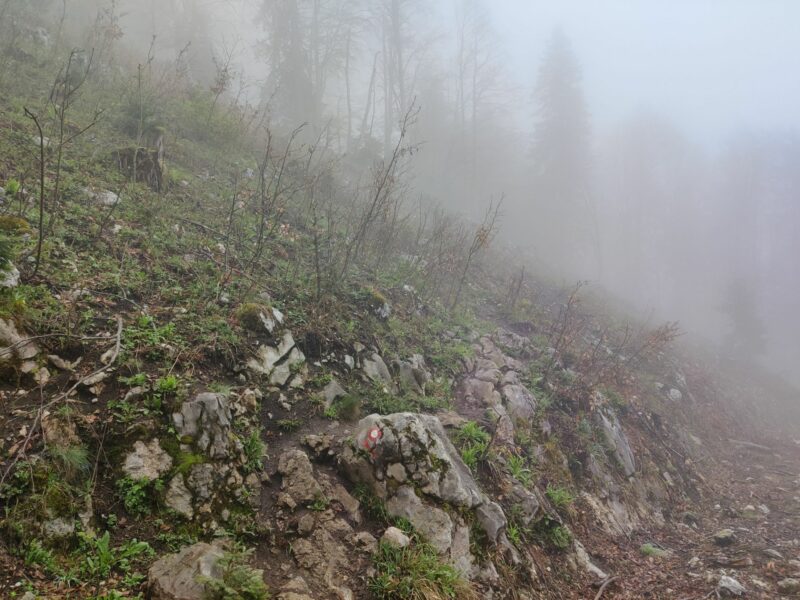 Tolsti Vrh - Kriska Gora Trail: Trail markers were useful in foggy weather