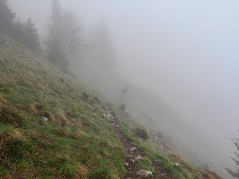 Tolsti Vrh - Kriska Gora Trail: With altitude the vegetation becomes sparser
