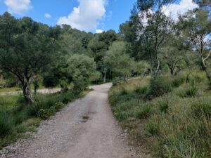 Puig de Sant Marti Trail - The path between the shrine and crossroad where you go on asphalt road