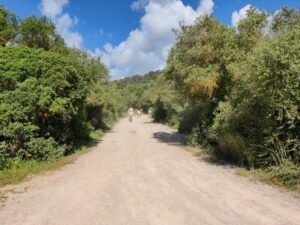 Puig de Sant Marti Trail - Turning right towards the shrine