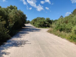 Puig de Sant Marti Trail - Wide Dirt Road