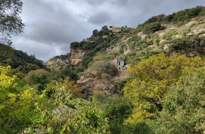 Myli Gorge Hike