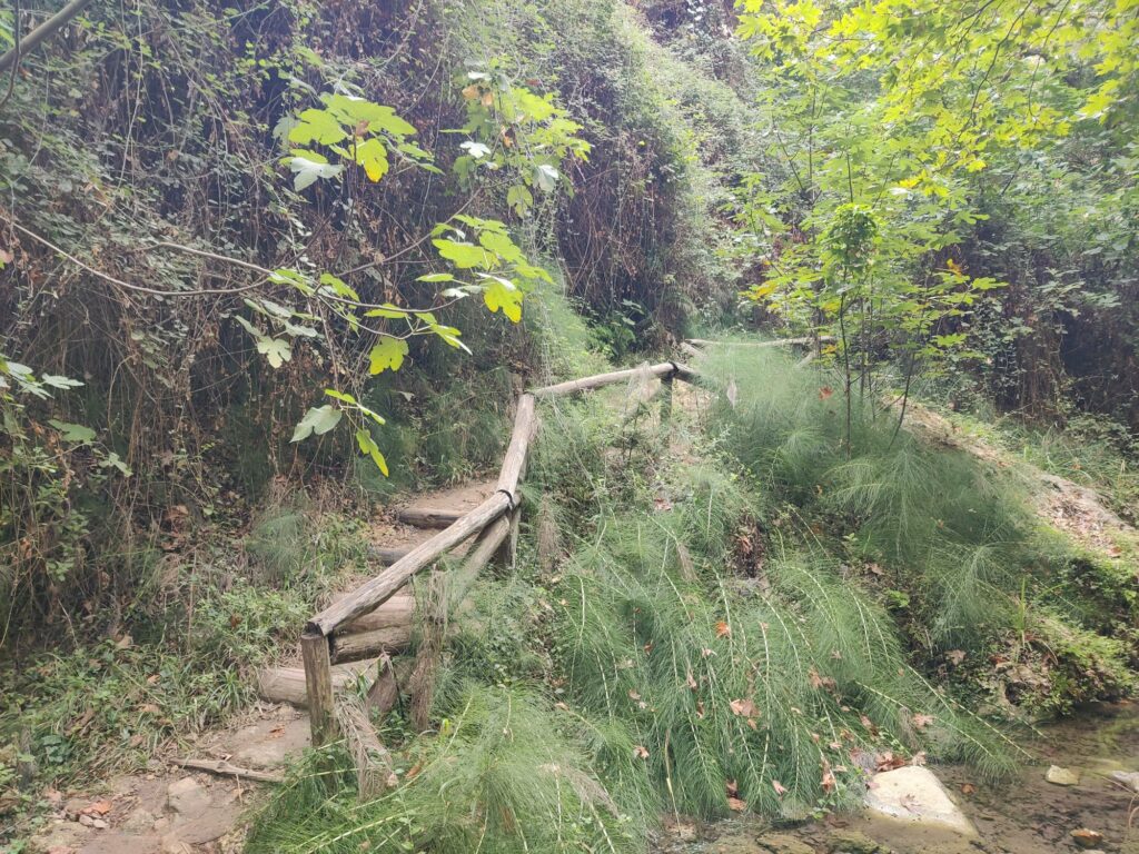 Myli Gorge Hike: The trail is quite narrow